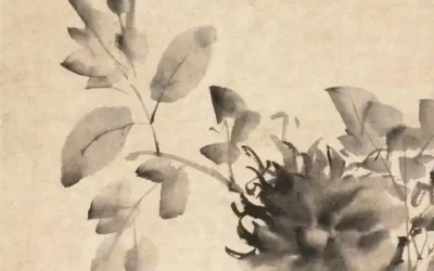 The flower culture in China – Tree peony