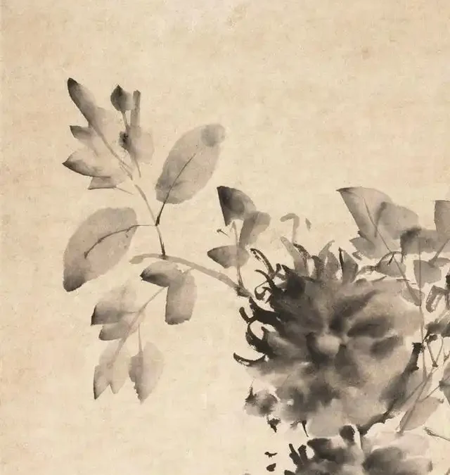 The flower culture in China – Tree peony
